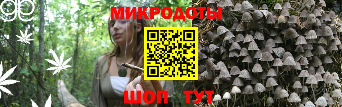 Псилоцибиновые грибы Psilocybine cubensis  купить закладку  Асино  Псилоцибиновые грибы Psilocybe  Вход с VPN 