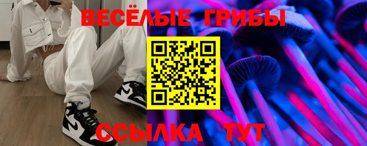 Псилоцибиновые грибы мухоморы Асино